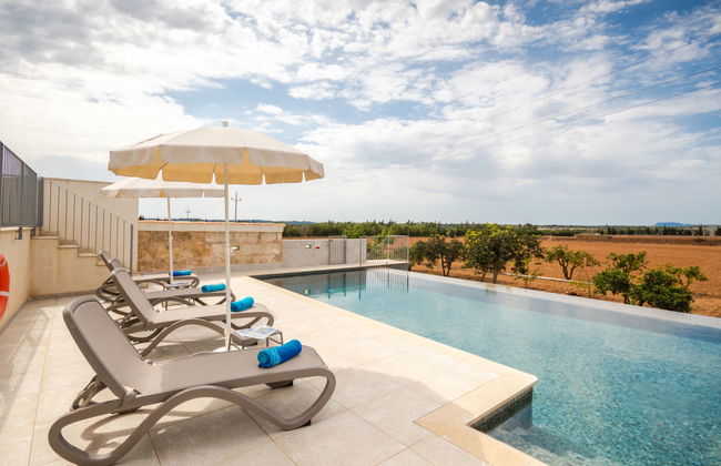 Son Vivot - Photo 34