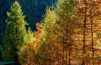 Casa Elena - Foto 29