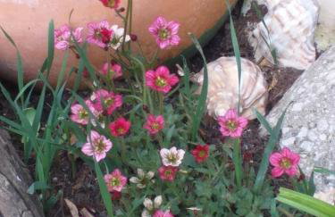 The LITTLE HOUSE in HULL - Foto 19