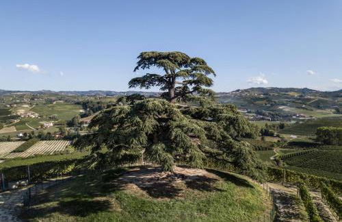 Agrisuite Il Cedro - Photo 42