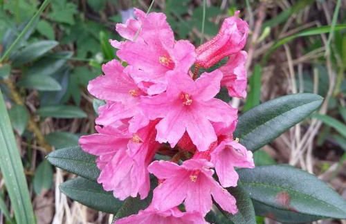 Casa Bamby - Foto 56