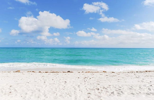 ONE Bedroom Apartment - Photo 69