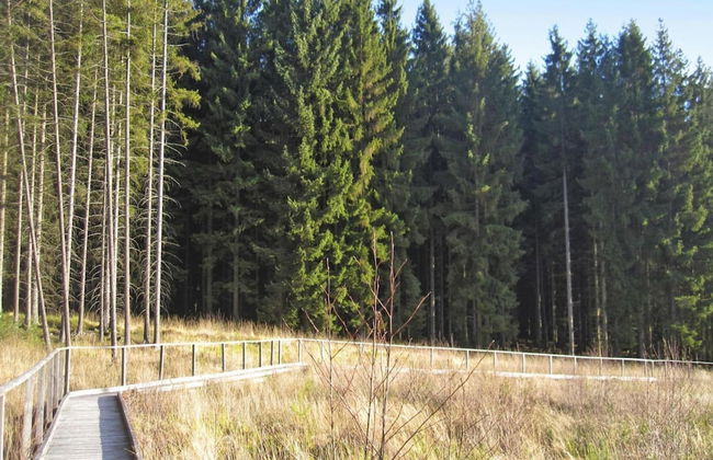 Apartment in Lissendorf With Garden Oasis - Photo 18