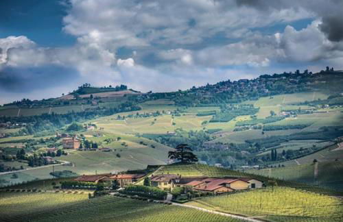 Agrisuite Il Cedro - Photo 46