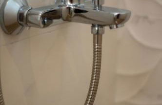 The Flower Garden - Foto 74