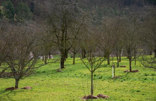 Ferienwohnung Obere Alm - Photo 19