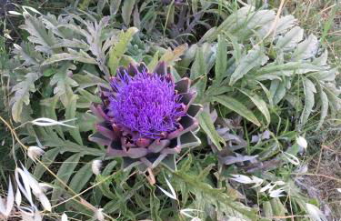 Casa RODA - Photo 73