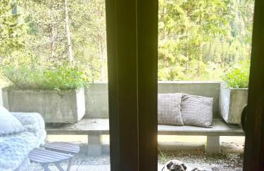 Mazzin Raggio di Sole - Foto 29