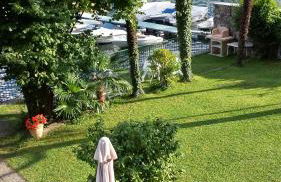 Le palme Antonella - Foto 10