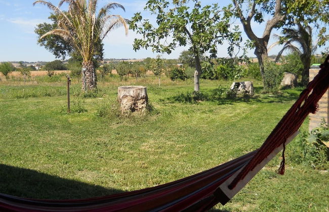 Agriturismo Bassarì - Photo 33