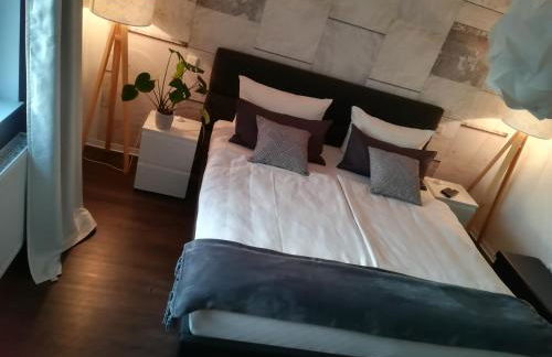 Appartment Fasanenhof Klinikum und Uni nah mit Netflix - Foto 24