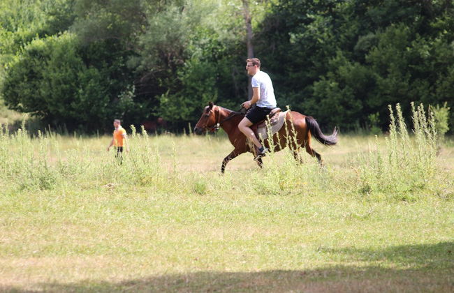 Farma Sotira - Foto 31