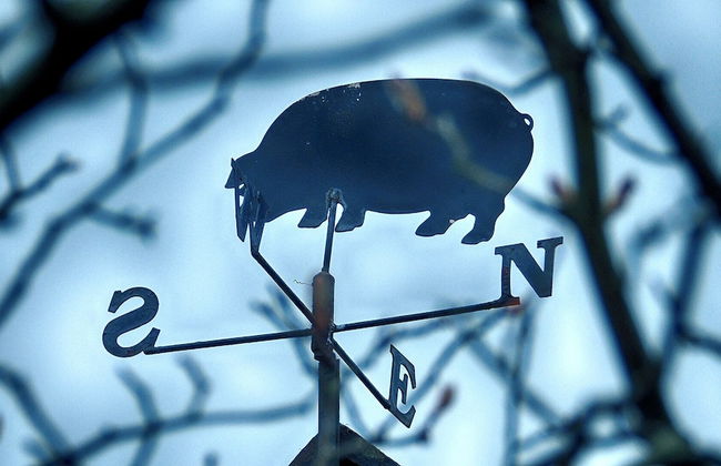 Magnolia Cottage - Foto 17