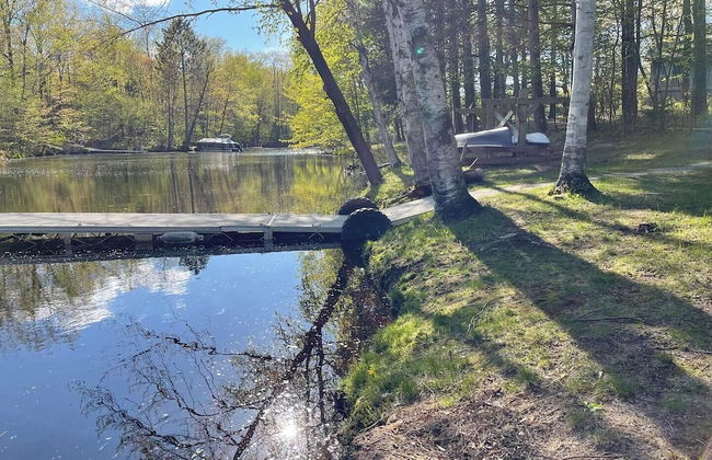 Fish Tails - Photo 18