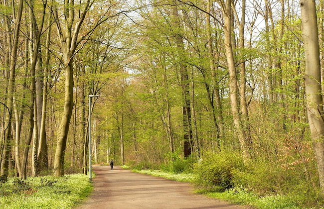 Apartments am Immengarten - Foto 17