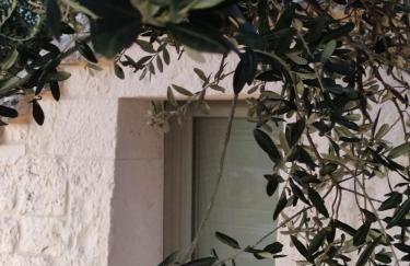 Domus Petri 1908 - Foto 60