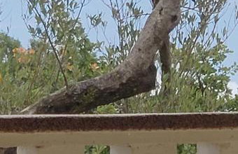 Hilltop Villa Risika - Foto 52