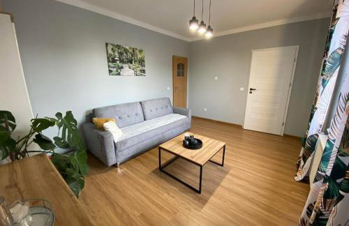 DREW BUD Spółka z o.o. Artur i Monika Oleksiuk - Foto 18