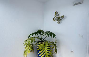 Casa Costa Bella - Foto 12