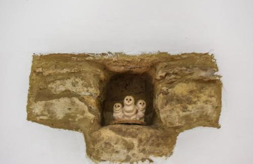 Butts Farm - Foto 25