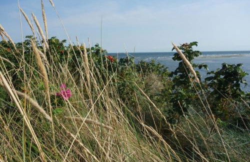 Ferienhaus *Traumblick* - Photo 17