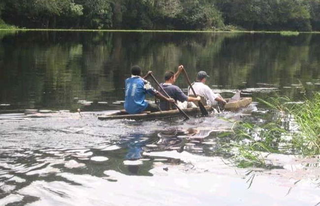 Excursion au Parc national de la Mefou et à la réserve forestière d'Ebogo - Photo 4