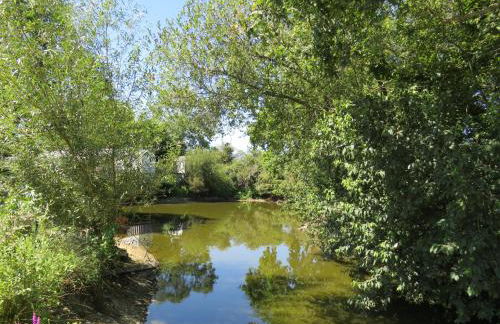 Gîtes Les P'tites Maisons dans la Prairie - Foto 44