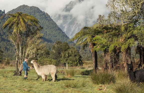 Glenfern Villas - Foto 29