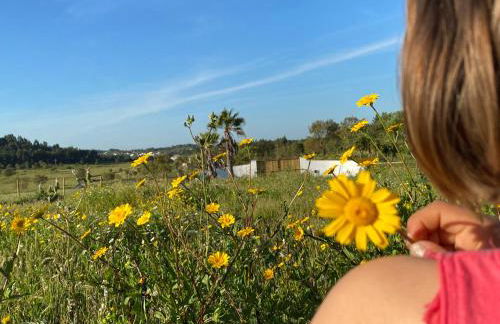 Monte da Caniveta - Casa do Avô - Foto 16