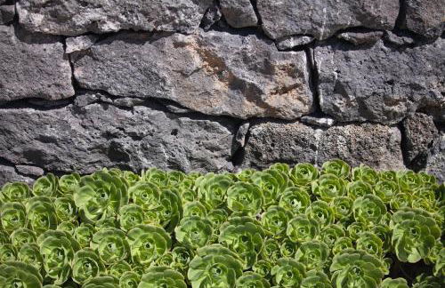 Lava Homes - Photo 40