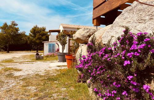 Résidence Casa Toga - Foto 33