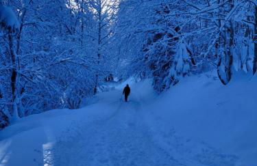 Chalet d'alpage avec vue incroyable - Foto 62