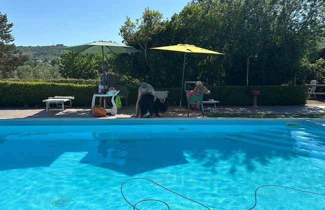 Agriturismo Niccoland - Foto 65