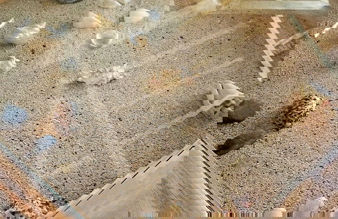 Villa Amidala - Waingapu - Foto 4