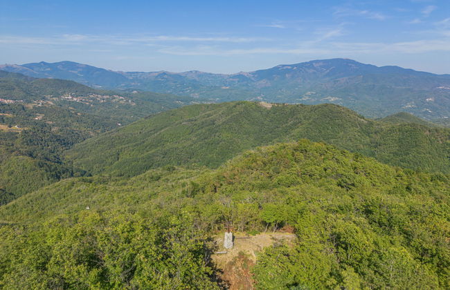 La Mela Musona - Foto 34