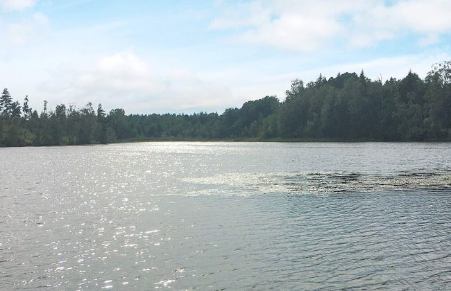 4 Person Holiday Home in Rorvik-by Traum - Foto 18