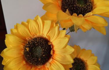 Sunflower Sea View with magnificent terrace in Serra da Pescaria, Nazaré - Portugal - Foto 32