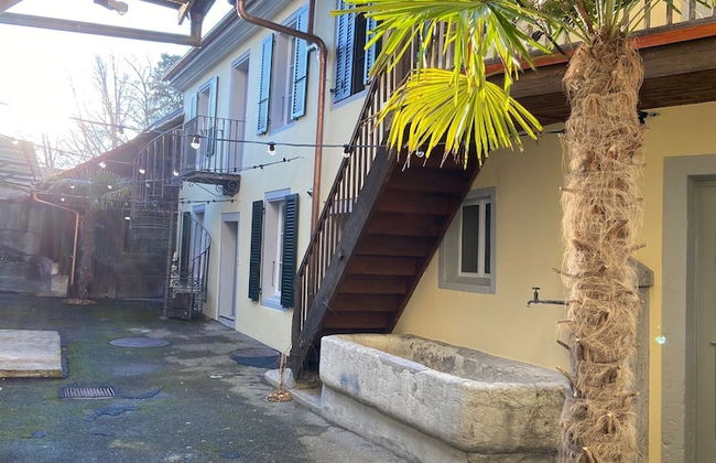 Business Apartment Solothurn - Foto 30