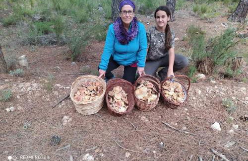 Casa Rural Puente Del Segura - Foto 38