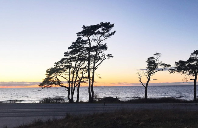 4 Star Holiday Home in Gotlands Tofta - Photo 3