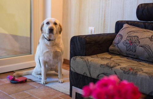 Summer House Magdalena - Foto 29