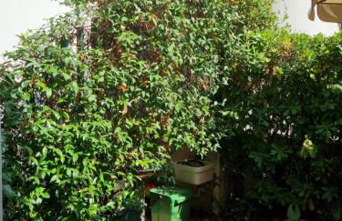 Appartamento Santa Barbara - Foto 15