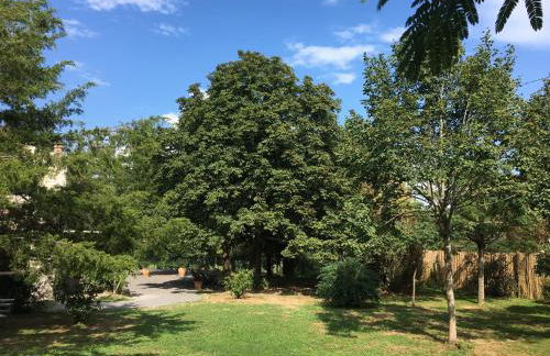 Le Mas Charlemagne - Foto 31