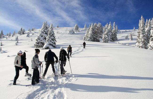 Affittacamere B&B Cà mea Dina - Foto 27