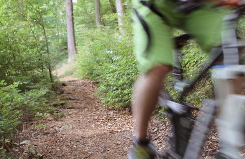 Ferienhaus Henneseeblick - Lake - View - Terrace - Hils - Wood - WIFI - Foto 13