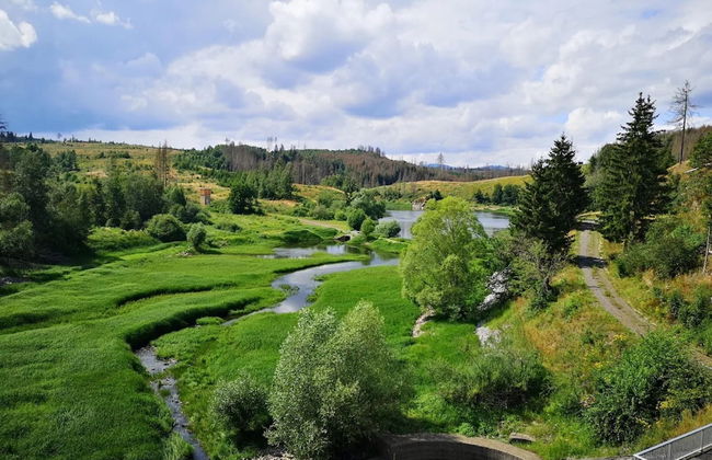 Doppelhaushaelfte in Hasselfelde - Foto 26