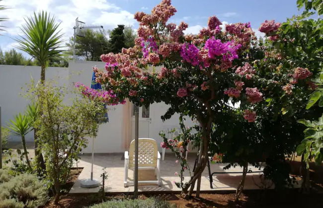 Cma-croatia Mediterranean Authenticity - Foto 20