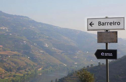 Quinta de São Pedro - Foto 55