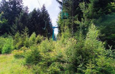 Apartament nad Gorczańskim Strumieniem - Foto 31