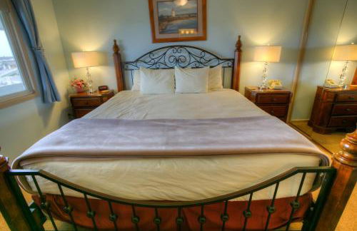 The Grey Gull - Foto 94